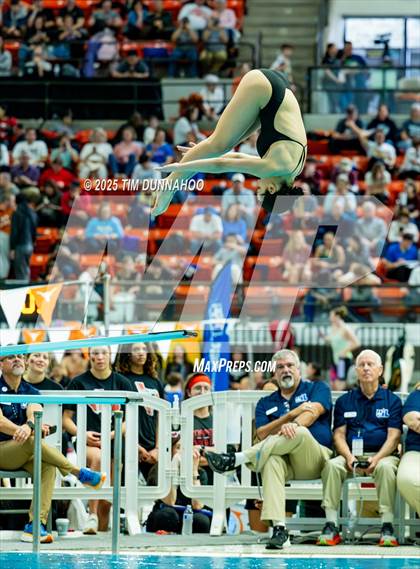 Thumbnail 1 in UIL 6A Swimming & Diving Finals (Diving) photogallery.