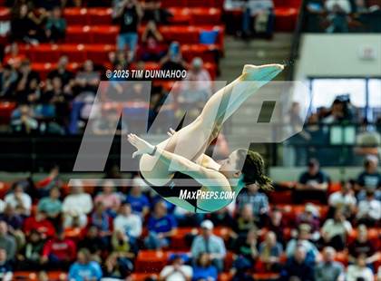 Thumbnail 3 in UIL 6A Swimming & Diving Finals (Diving) photogallery.