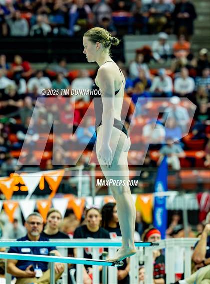Thumbnail 1 in UIL 6A Swimming & Diving Finals (Diving) photogallery.