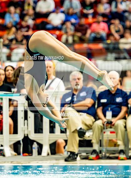 Thumbnail 2 in UIL 6A Swimming & Diving Finals (Diving) photogallery.