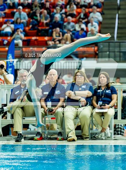 Thumbnail 3 in UIL 6A Swimming & Diving Finals (Diving) photogallery.