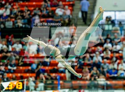 Thumbnail 2 in UIL 6A Swimming & Diving Finals (Diving) photogallery.