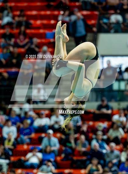 Thumbnail 2 in UIL 6A Swimming & Diving Finals (Diving) photogallery.