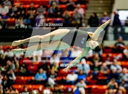 Thumbnail 1 in UIL 6A Swimming & Diving Finals (Diving) photogallery.