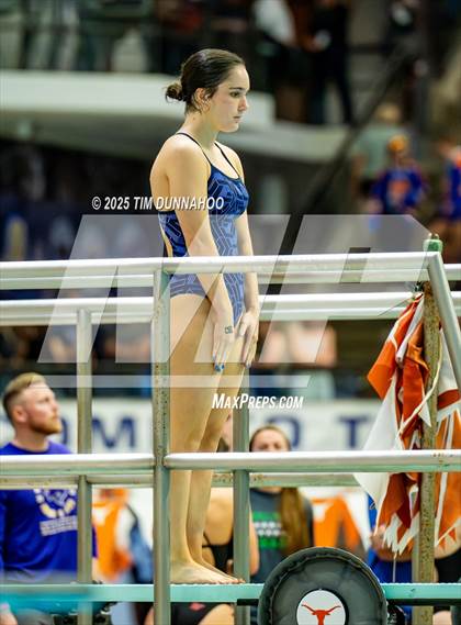 Thumbnail 2 in UIL 6A Swimming & Diving Finals (Diving) photogallery.