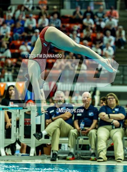 Thumbnail 2 in UIL 6A Swimming & Diving Finals (Diving) photogallery.