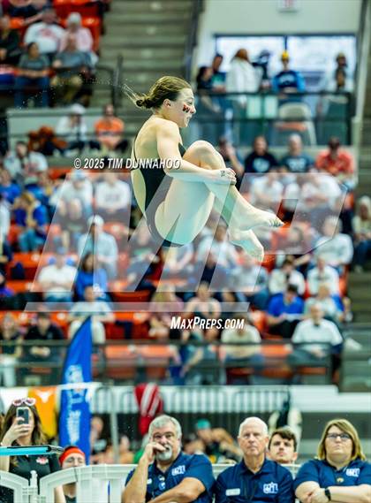 Thumbnail 3 in UIL 6A Swimming & Diving Finals (Diving) photogallery.