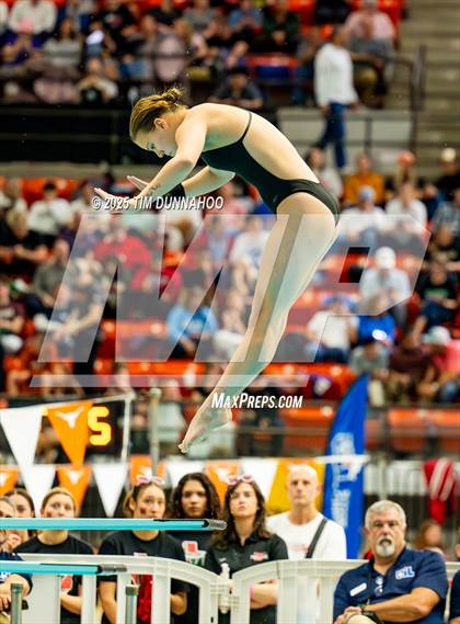 Thumbnail 3 in UIL 6A Swimming & Diving Finals (Diving) photogallery.