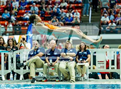 Thumbnail 3 in UIL 6A Swimming & Diving Finals (Diving) photogallery.