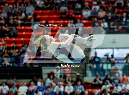Thumbnail 2 in UIL 6A Swimming & Diving Finals (Diving) photogallery.
