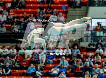 Thumbnail 1 in UIL 6A Swimming & Diving Finals (Diving) photogallery.