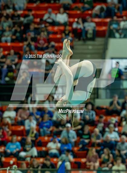 Thumbnail 1 in UIL 6A Swimming & Diving Finals (Diving) photogallery.