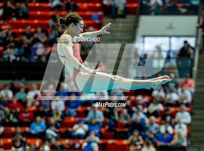 Thumbnail 1 in UIL 6A Swimming & Diving Finals (Diving) photogallery.
