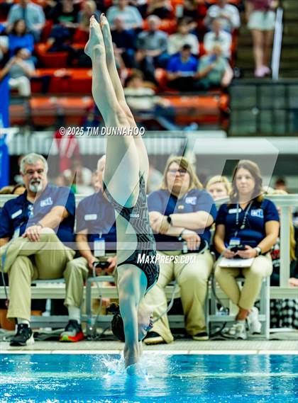 Thumbnail 3 in UIL 6A Swimming & Diving Finals (Diving) photogallery.