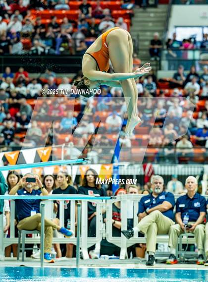 Thumbnail 3 in UIL 6A Swimming & Diving Finals (Diving) photogallery.