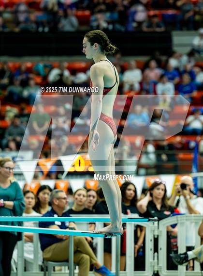 Thumbnail 2 in UIL 6A Swimming & Diving Finals (Diving) photogallery.