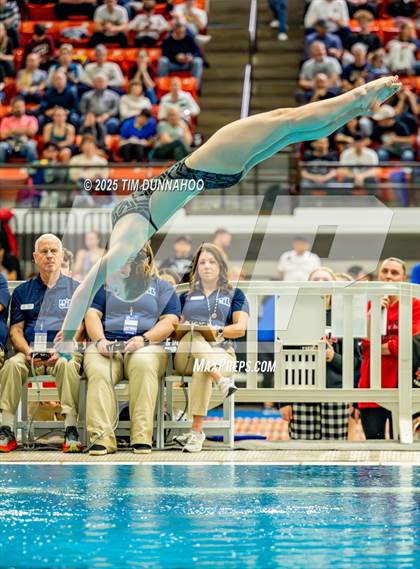 Thumbnail 2 in UIL 6A Swimming & Diving Finals (Diving) photogallery.