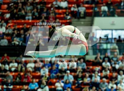 Thumbnail 3 in UIL 6A Swimming & Diving Finals (Diving) photogallery.