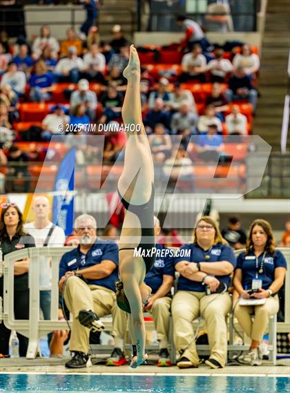 Thumbnail 3 in UIL 6A Swimming & Diving Finals (Diving) photogallery.