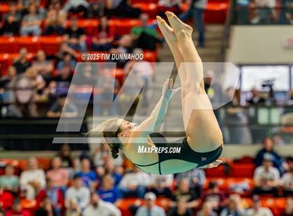 Thumbnail 3 in UIL 6A Swimming & Diving Finals (Diving) photogallery.