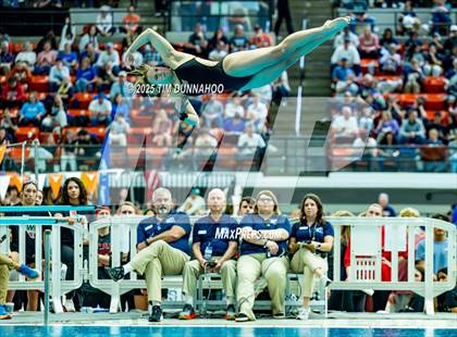 Thumbnail 2 in UIL 6A Swimming & Diving Finals (Diving) photogallery.