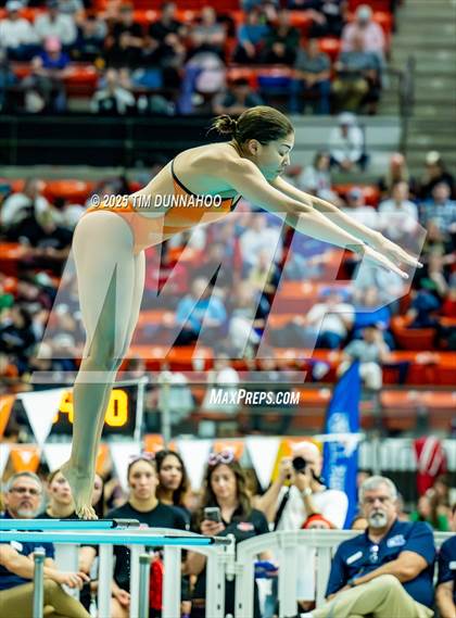 Thumbnail 3 in UIL 6A Swimming & Diving Finals (Diving) photogallery.