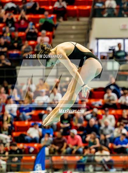 Thumbnail 3 in UIL 6A Swimming & Diving Finals (Diving) photogallery.