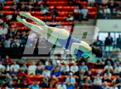 Thumbnail 2 in UIL 6A Swimming & Diving Finals (Diving) photogallery.