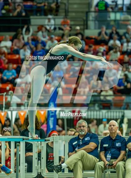 Thumbnail 3 in UIL 6A Swimming & Diving Finals (Diving) photogallery.