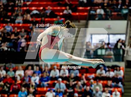 Thumbnail 1 in UIL 6A Swimming & Diving Finals (Diving) photogallery.