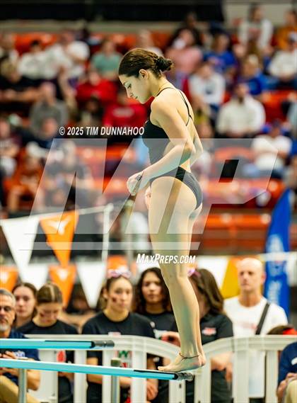 Thumbnail 1 in UIL 6A Swimming & Diving Finals (Diving) photogallery.