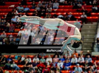 Thumbnail 1 in UIL 6A Swimming & Diving Finals (Diving) photogallery.