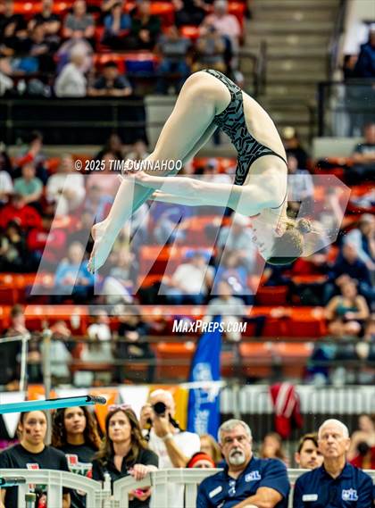 Thumbnail 2 in UIL 6A Swimming & Diving Finals (Diving) photogallery.