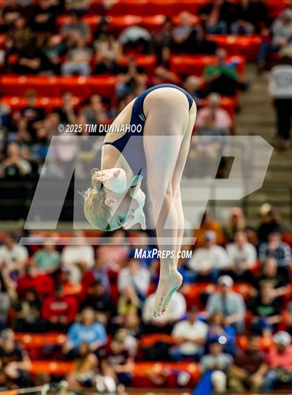 Thumbnail 2 in UIL 6A Swimming & Diving Finals (Diving) photogallery.
