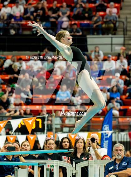 Thumbnail 2 in UIL 6A Swimming & Diving Finals (Diving) photogallery.