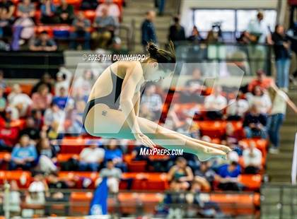 Thumbnail 2 in UIL 6A Swimming & Diving Finals (Diving) photogallery.