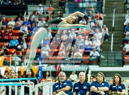 Thumbnail 2 in UIL 6A Swimming & Diving Finals (Diving) photogallery.