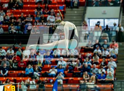 Thumbnail 2 in UIL 6A Swimming & Diving Finals (Diving) photogallery.