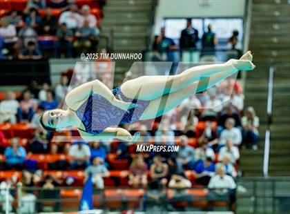 Thumbnail 1 in UIL 6A Swimming & Diving Finals (Diving) photogallery.