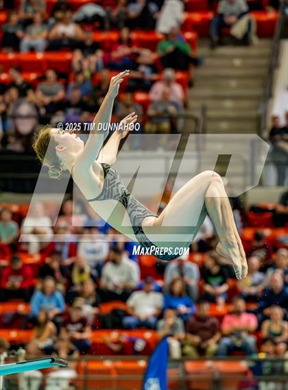Thumbnail 2 in UIL 6A Swimming & Diving Finals (Diving) photogallery.