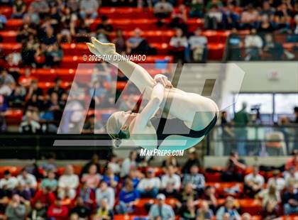Thumbnail 2 in UIL 6A Swimming & Diving Finals (Diving) photogallery.