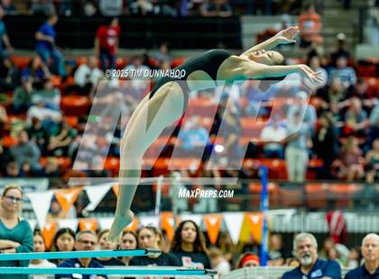 Thumbnail 2 in UIL 6A Swimming & Diving Finals (Diving) photogallery.