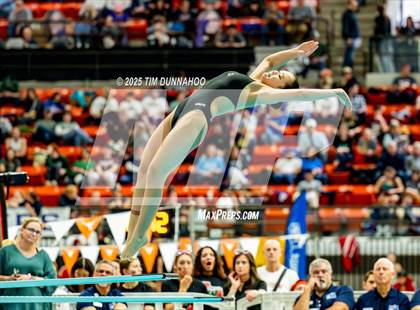 Thumbnail 1 in UIL 6A Swimming & Diving Finals (Diving) photogallery.
