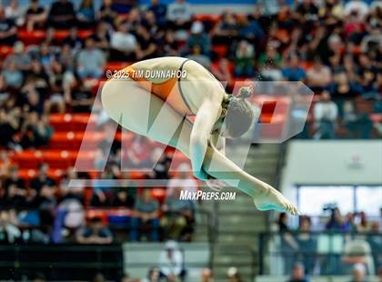 Thumbnail 2 in UIL 6A Swimming & Diving Finals (Diving) photogallery.