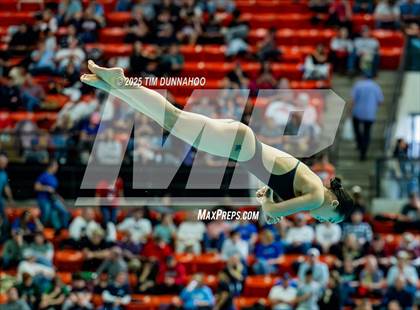 Thumbnail 2 in UIL 6A Swimming & Diving Finals (Diving) photogallery.