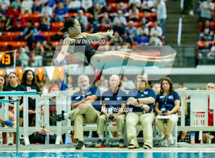 Thumbnail 1 in UIL 6A Swimming & Diving Finals (Diving) photogallery.