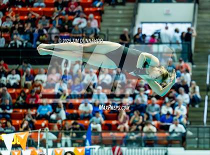 Thumbnail 1 in UIL 6A Swimming & Diving Finals (Diving) photogallery.