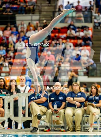 Thumbnail 1 in UIL 6A Swimming & Diving Finals (Diving) photogallery.