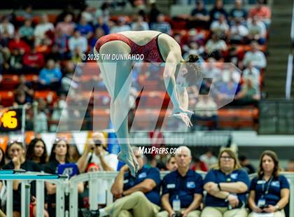 Thumbnail 2 in UIL 6A Swimming & Diving Finals (Diving) photogallery.