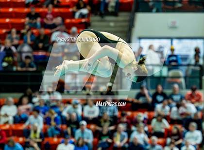 Thumbnail 3 in UIL 6A Swimming & Diving Finals (Diving) photogallery.